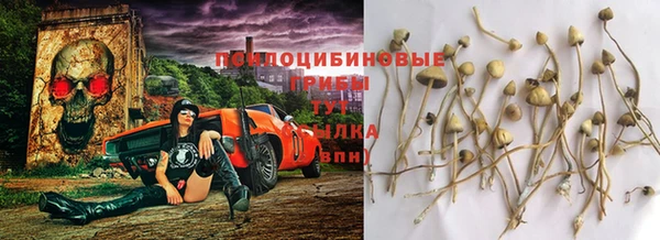 кокаин VHQ Бородино