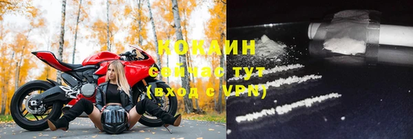 твердый Бронницы